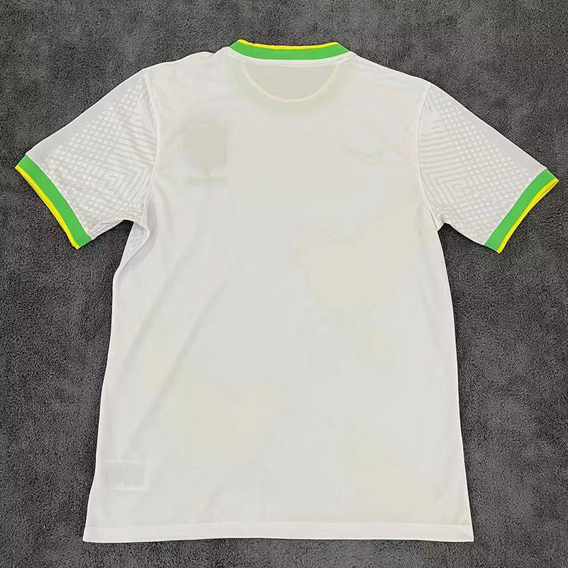 Maillot Brésil concept